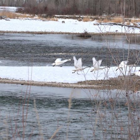 Hansen Guest Ranch Swan Valley Екстер'єр фото